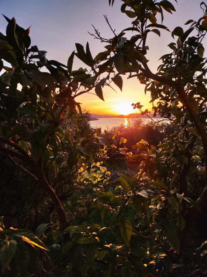 טרוגיר Dream View Apartments Dalmatia מראה חיצוני תמונה